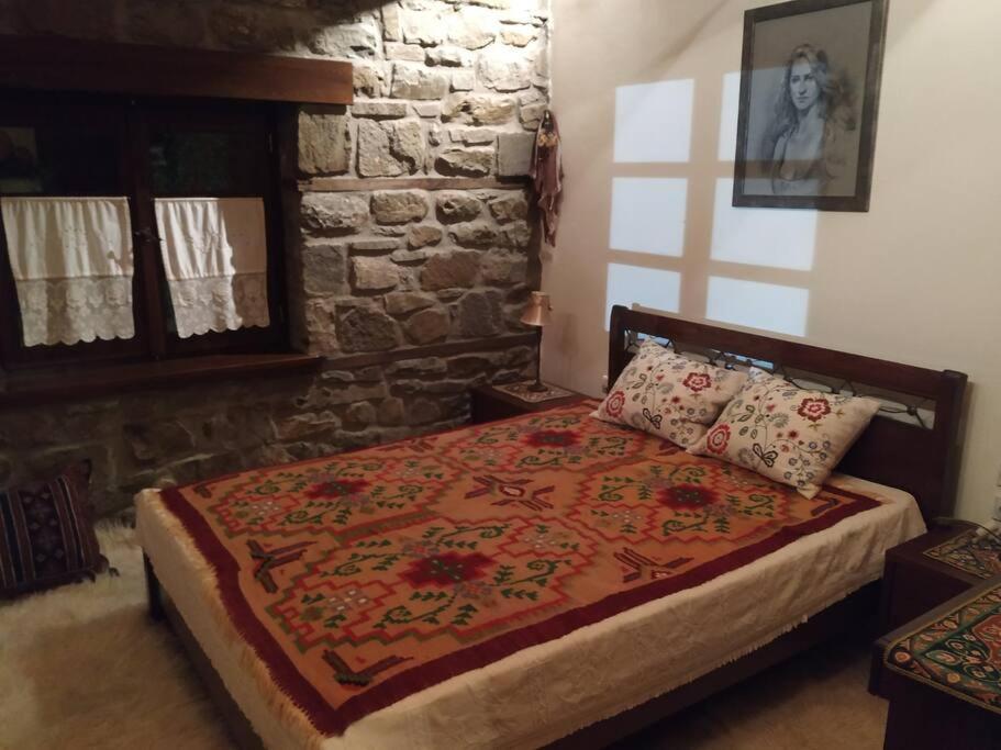 Παραδοσιακή Πέτρινη Κατοικία Στην Βλάχα Ελάτης Eksteriør bilde